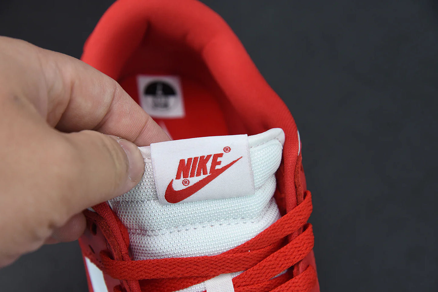 Nike SB Dunk Low “University Red”
