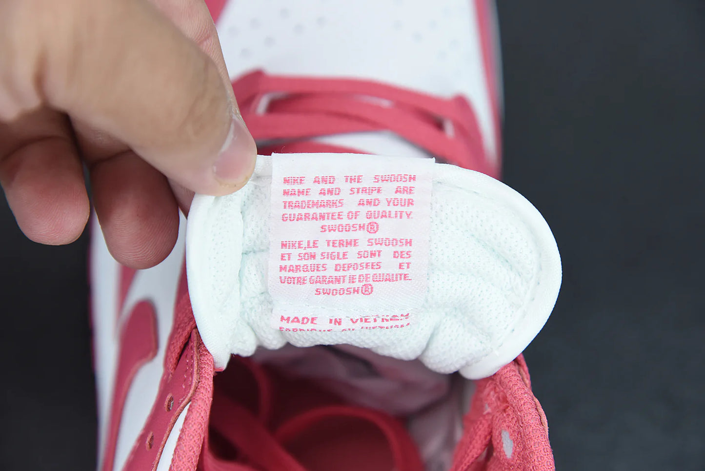 Nike SB Dunk Low “Archeo Pink”